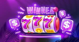333bet17